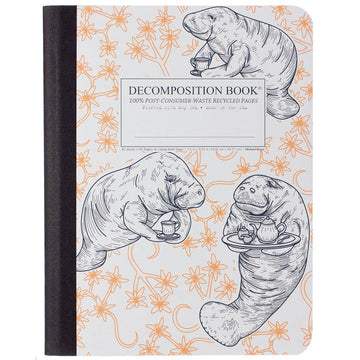 Decomposition Notebook - Manatea