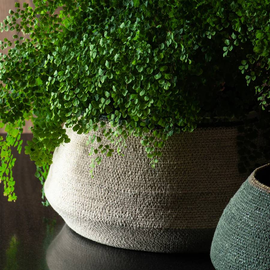 Sfera Basket - Moss